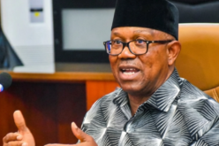 2027: Obi’s credentials under probe as LP chieftain sues WAEC, UNN, NYSC
