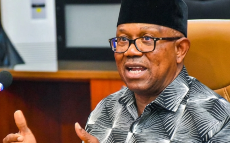 2027: Obi’s credentials under probe as LP chieftain sues WAEC, UNN, NYSC
