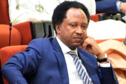 2027: Atiku’s victory will end rotational presidency — Shehu Sani
