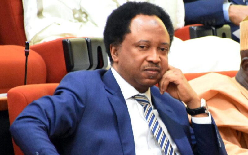 2027: Atiku’s victory will end rotational presidency — Shehu Sani