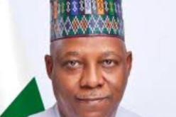 VP 60: Northern senators hail Shettima’s service, resilience