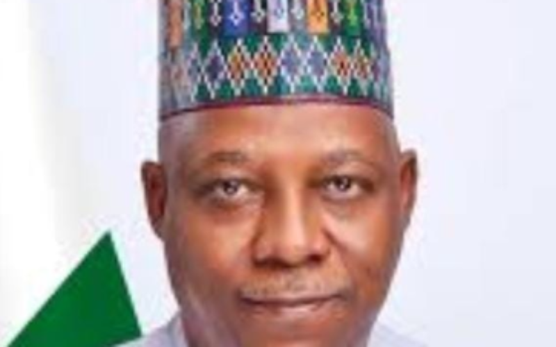 VP 60: Northern senators hail Shettima’s service, resilience