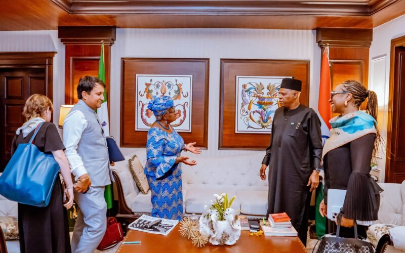 At BRICS Summit, Nigeria Says No Nation Can Progress in Isolation from Global Community