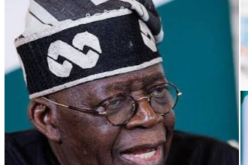 2027: Give Tinubu 8 years, Nigeria Forward tells Northern politicians
