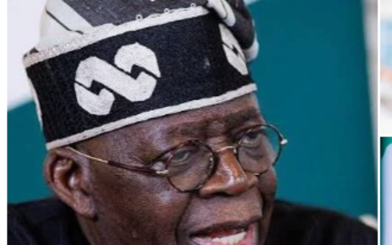 2027: Give Tinubu 8 years, Nigeria Forward tells Northern politicians