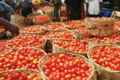 Agric sector’s stakeholders disagree over food inflation