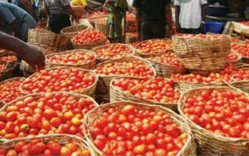 Agric sector’s stakeholders disagree over food inflation