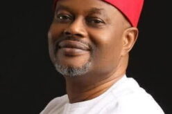 Alleged Certificate Forgery: Court allows ex-Minister Nnaji to travel for medical treatment