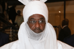 We have now opened our beef market to American beef, that’s going to wipe out livestock – Sanusi warns
