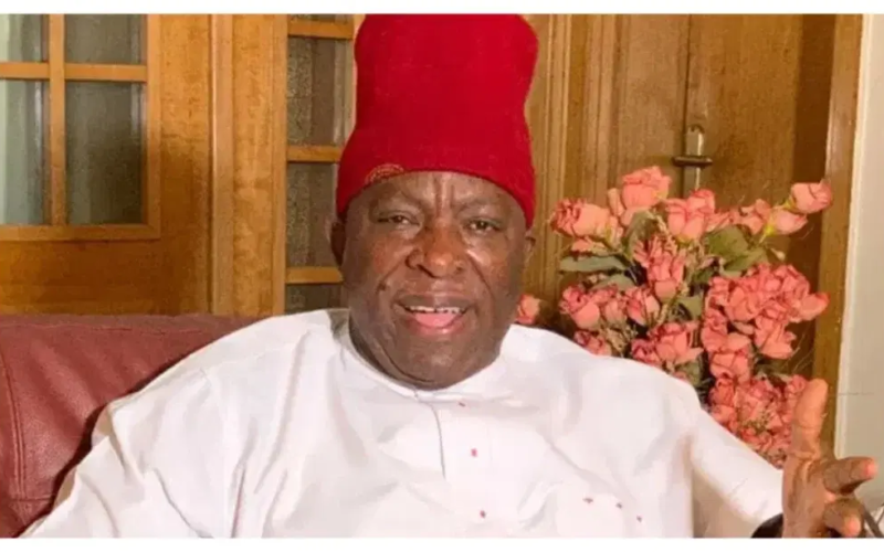 2027: It’s call to duty not anarchy  -  Umeh defends Peter Obi’s ‘threat’ to election riggers