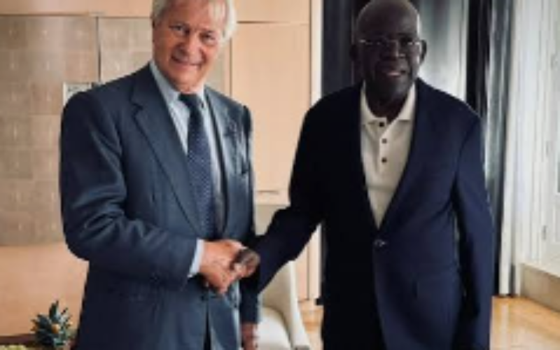 Tinubu meets Vincent Bollore in Paris on expanded investment in Nigeria’s creative, digital economy