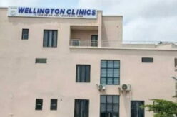 Wellington Clinics denies involvement in alleged kidney transplant deal