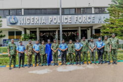 IGP Disu, Air Chief Aneke strengthen police, NAF partnership