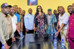 FG to protect Nigerian investments in Angola — Minister