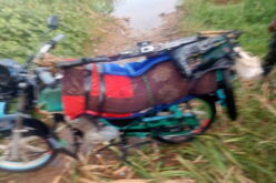 Troops dislodge terrorists’ enclave, recover weapons in Sokoto