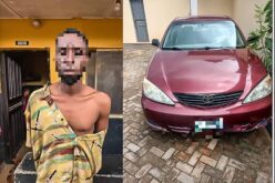 Suspected vehicle theft kingpin arrested in Ogun