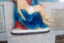 ‘Mary Leads Us to Jesus’ — Ozigbo
