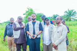 SEDC agro-mechanisation project set for Enugu flag-off