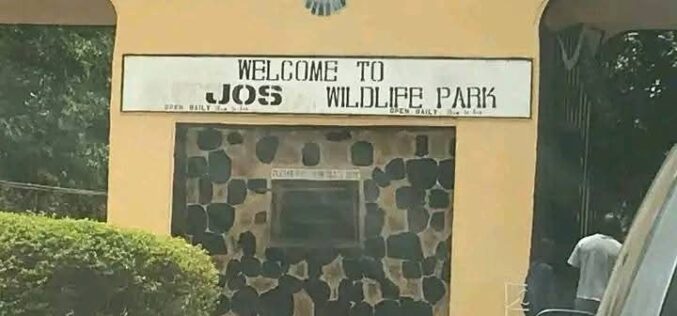 Mutilated corpse of woman found in Jos forest reserve
