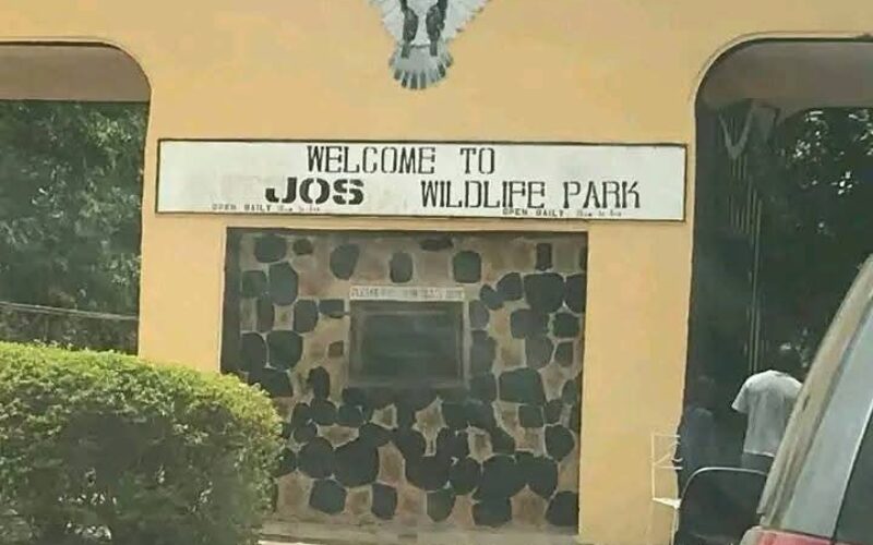 Mutilated corpse of woman found in Jos forest reserve