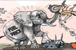 Cartoon: Nigerian subsidy elephantiasis