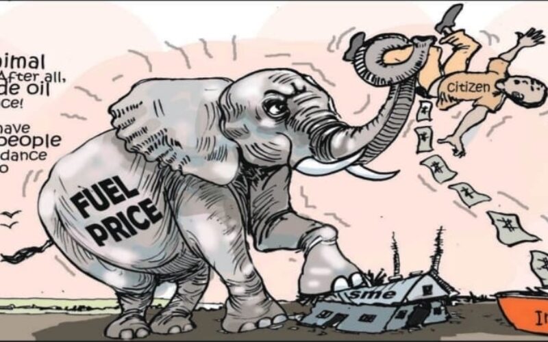 Cartoon: Nigerian subsidy elephantiasis