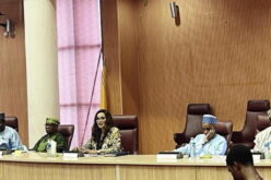 Foreign missions urged to review long visa processes