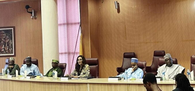 Foreign missions urged to review long visa processes