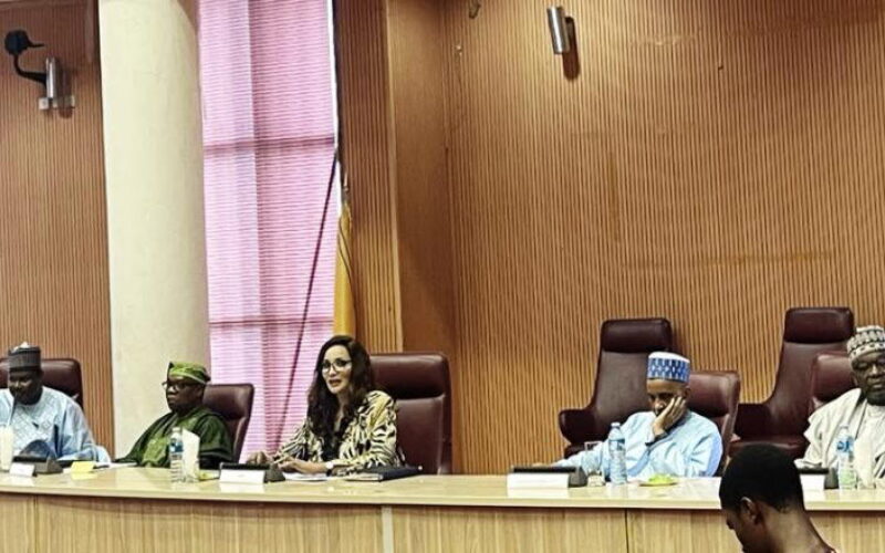 Foreign missions urged to review long visa processes