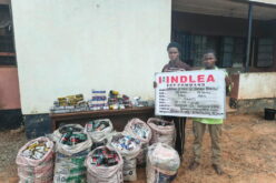 N3.4bn drug bust: NDLEA arrests fake police, mechanic