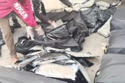 NDLEA seizes 1.3m opioid pills, 6,000kg cannabis, nabs two teenagers with AK-47s, pistol, ammunition