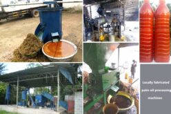 Lagos alerts residents over adulterated palm oil