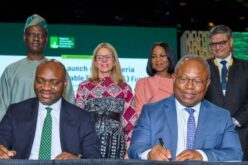 NSIA launches $300m fund for renewable energy
