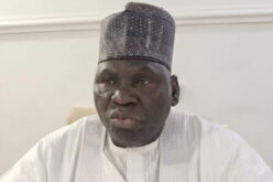 ‘Don’t divorce your husbands; I was joking’ — Yobe APC Chair apologises