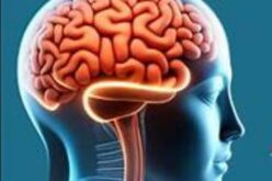 Brain drain: Nigeria risks losing more eye specialists, OSN warns