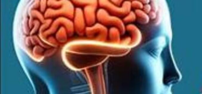 Brain drain: Nigeria risks losing more eye specialists, OSN warns