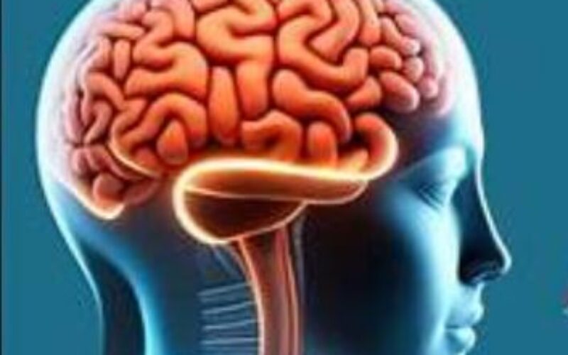 Brain drain: Nigeria risks losing more eye specialists, OSN warns