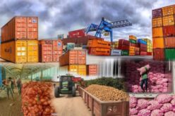Nigeria must secure its agro-export future
