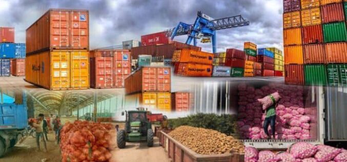 Nigeria must secure its agro-export future