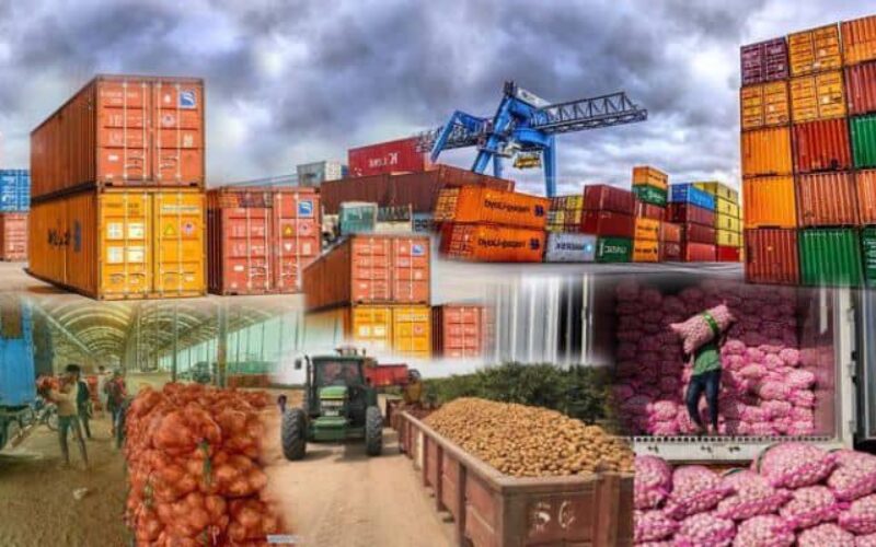 Nigeria must secure its agro-export future
