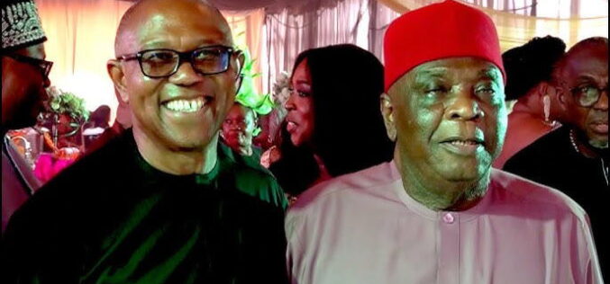 2027: APC govt has done nothing for South-East, Peter Obi our only hope — Dan Ulasi