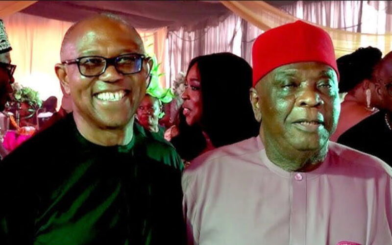 2027: APC govt has done nothing for South-East, Peter Obi our only hope — Dan Ulasi