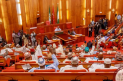State police/constitution amendment: NASS gives 36 state assemblies 30 days to respond