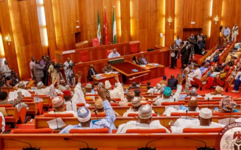 State police/constitution amendment: NASS gives 36 state assemblies 30 days to respond