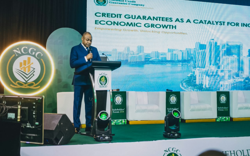NCGC Targets N100bn Credit for Women After First-Year Gender Gap