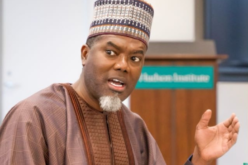 No criminal FBI record against Tinubu – Reno Omokri