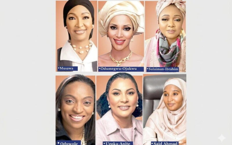 Are women in Tinubu’s cabinet exercising power?, by Stephanie Shaakaa