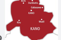 Diphtheria: Kano records 1,747 deaths from 32,633 confirmed cases