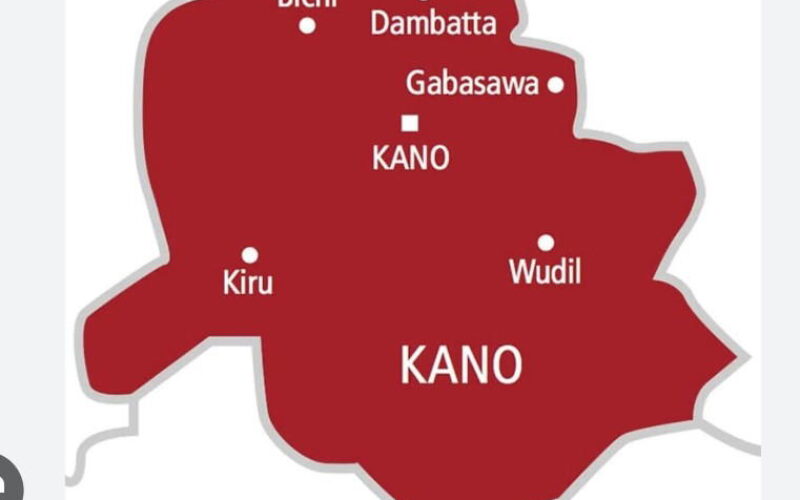 Diphtheria: Kano records 1,747 deaths from 32,633 confirmed cases