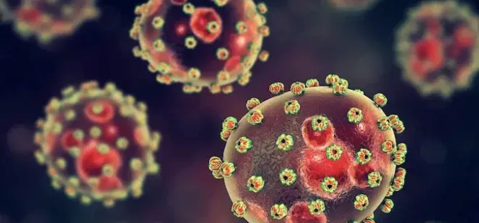 Lassa fever deaths hit 258 as CFR rises to 24%
